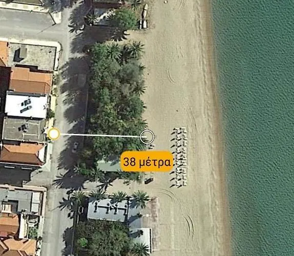 Hara's A Apartamento Flogita